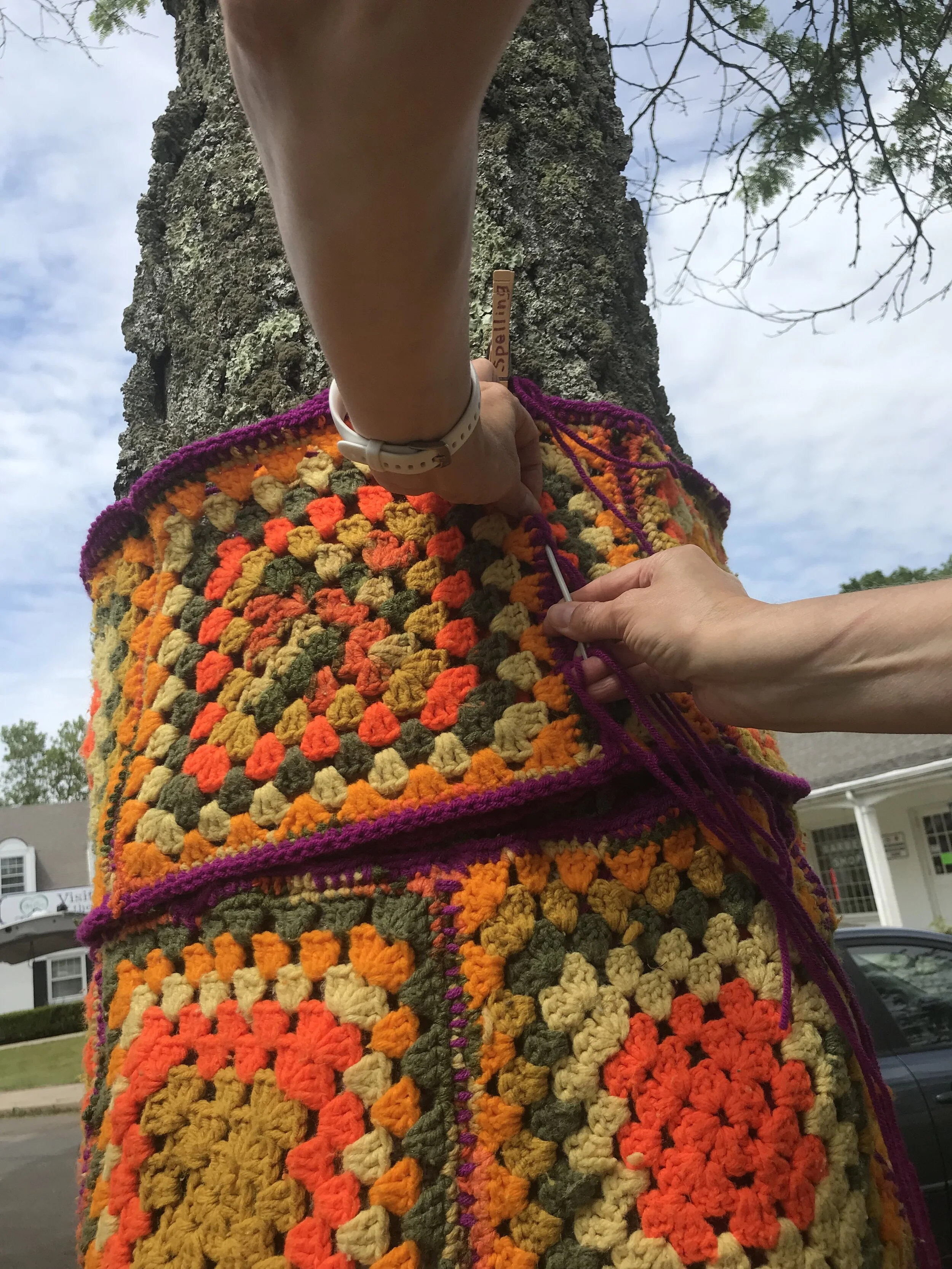 Tree, Essex, Connecticut 2021