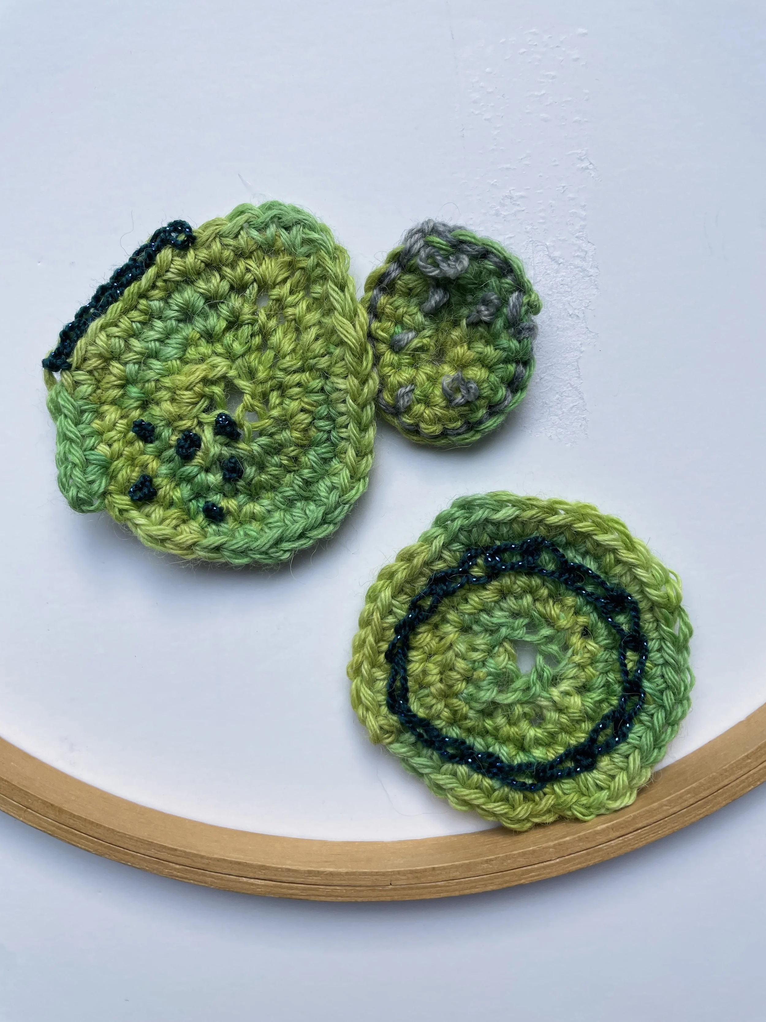 Thalassiosira pseudonana