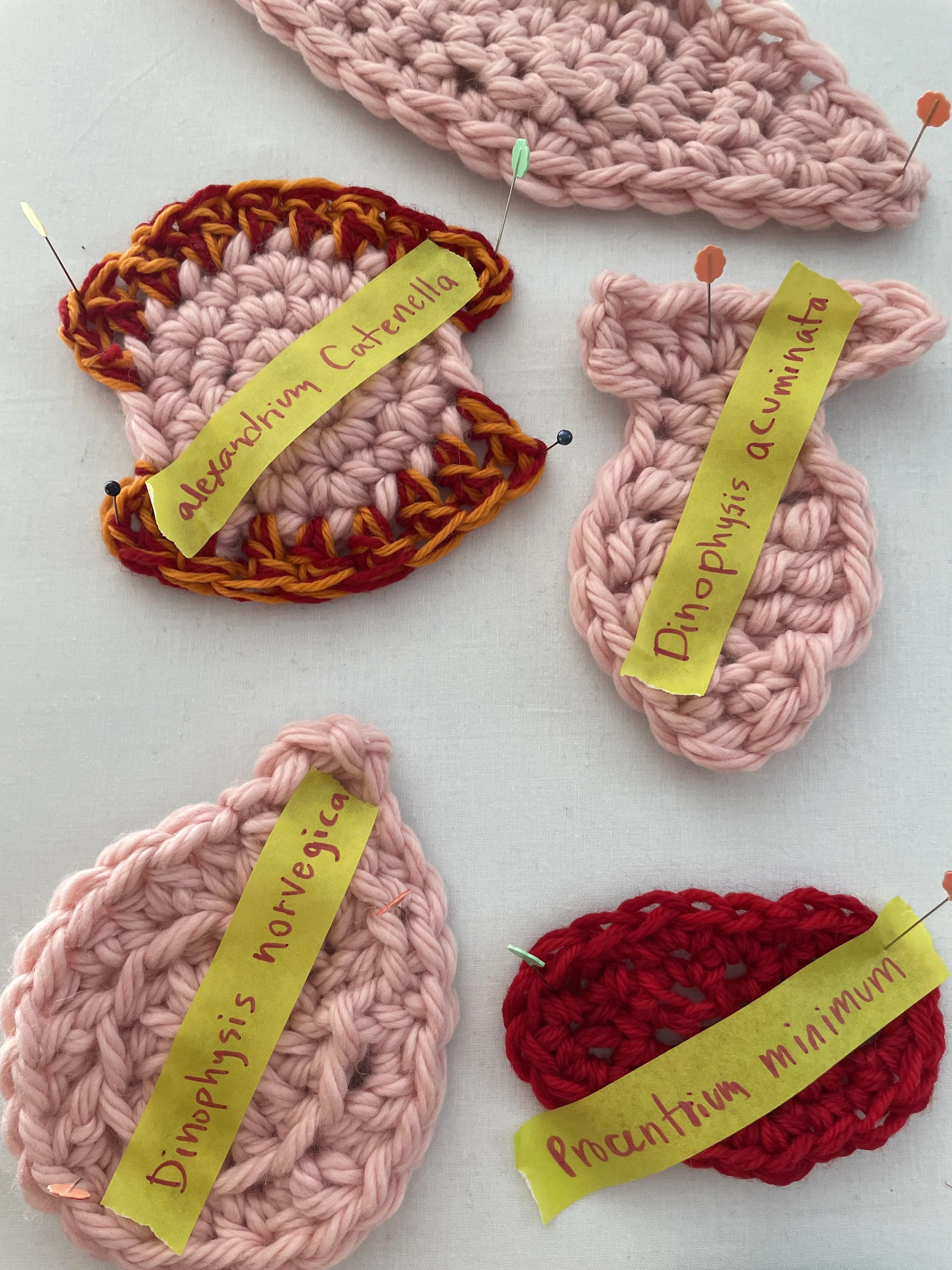 Various phytoplankton