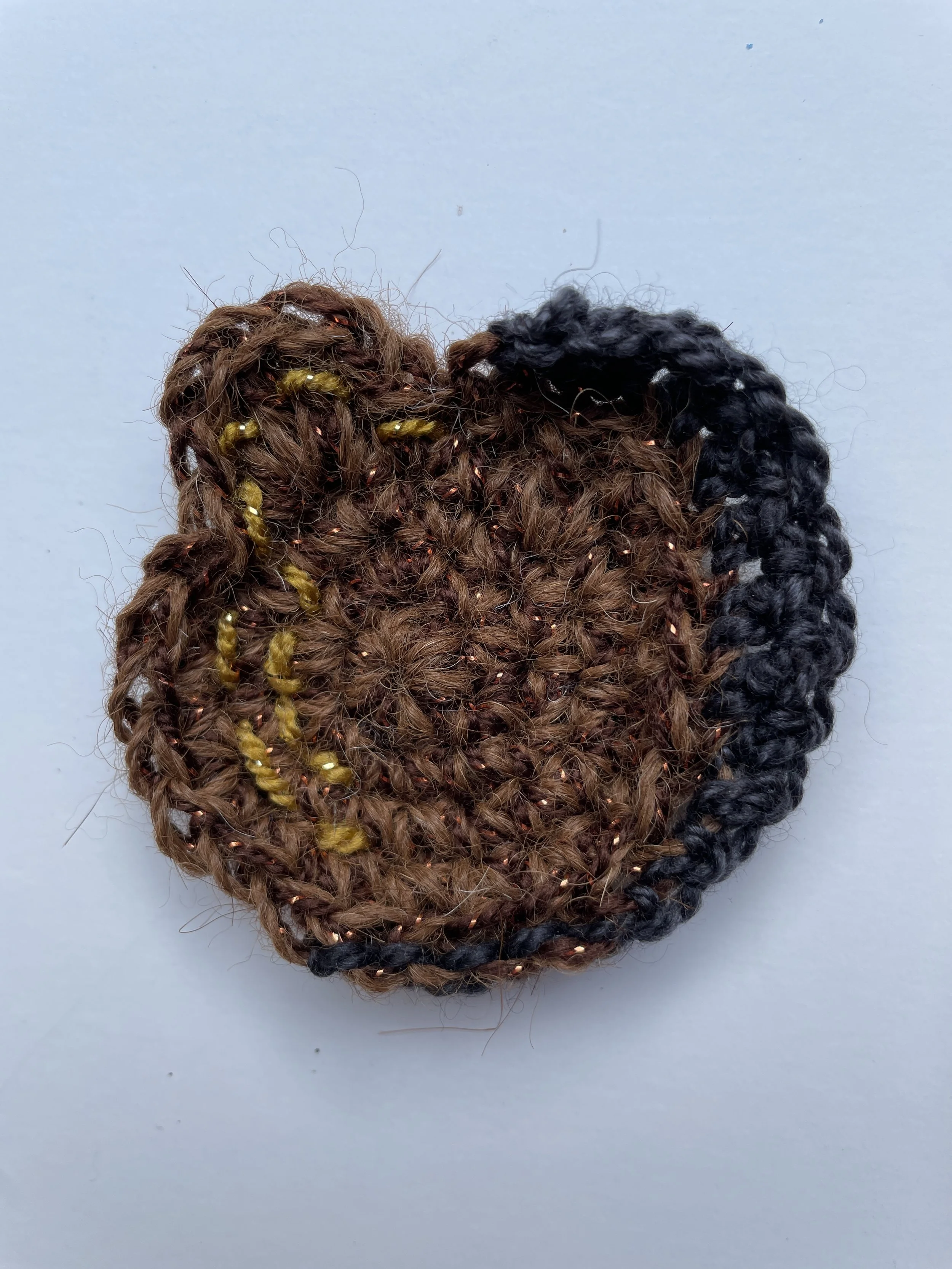 Aureococcus anophagefferens