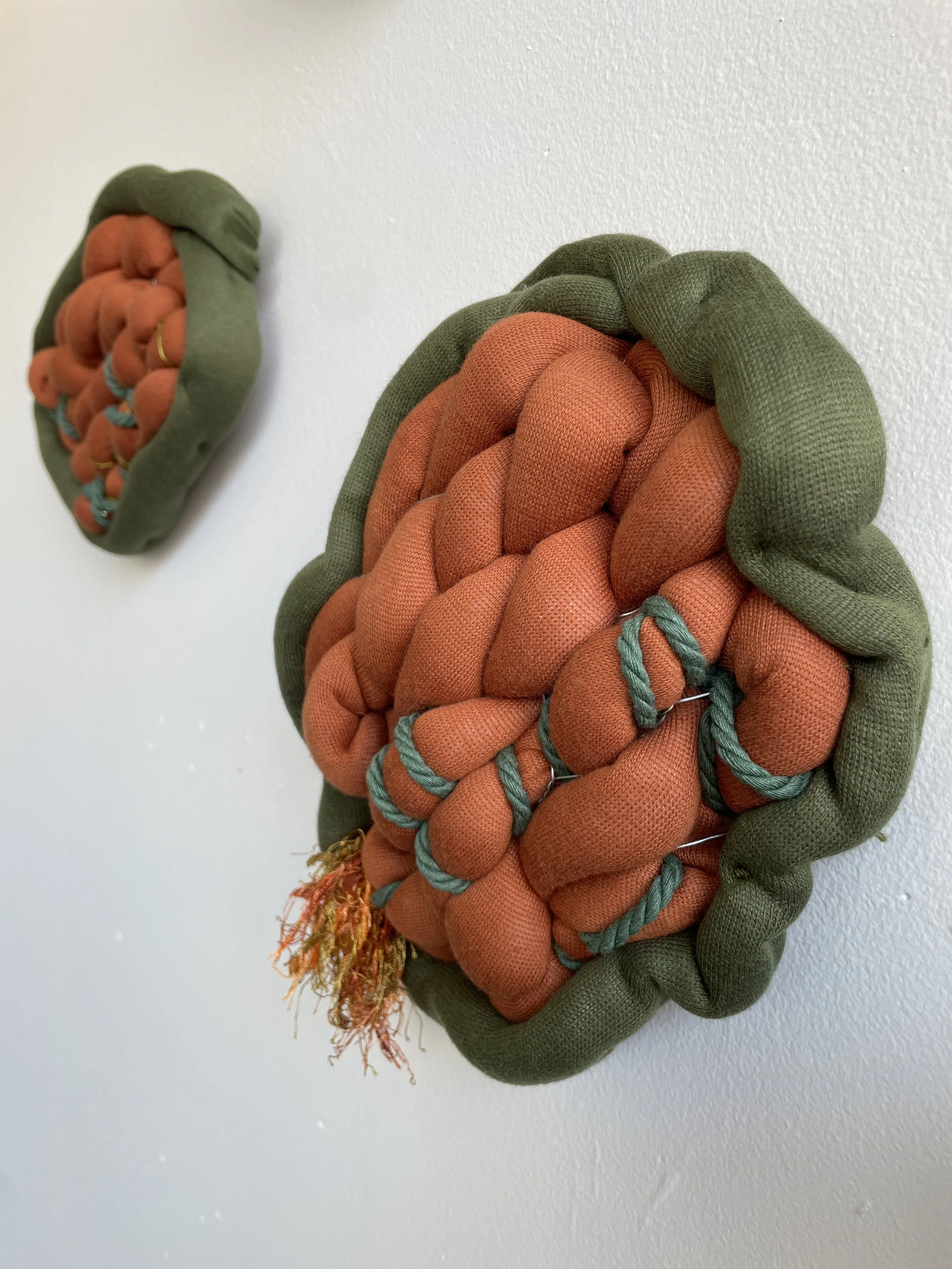 Fungal Spores, Marsha Borden, 2024