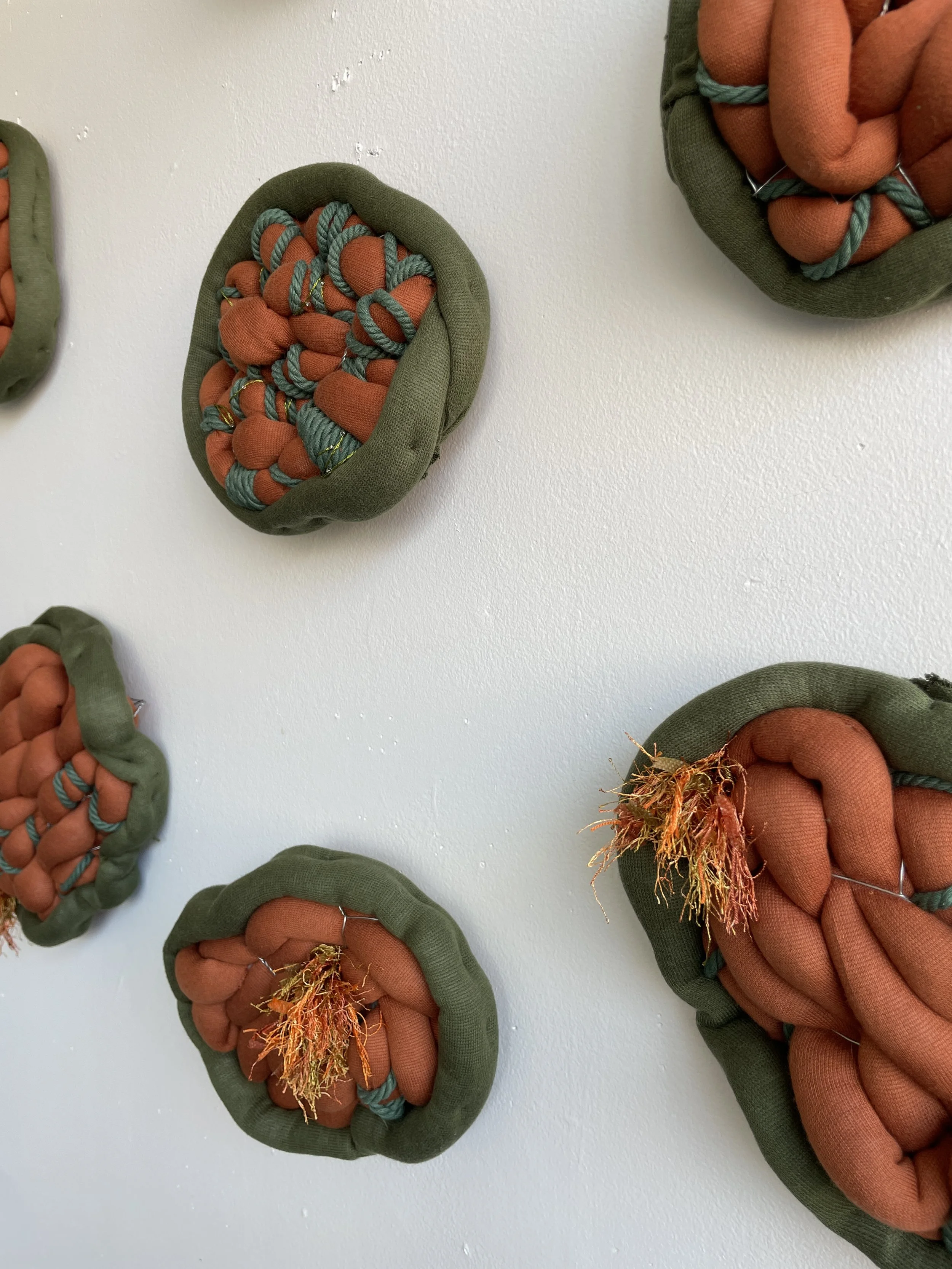 Fungal Spores, Marsha Borden, 2024