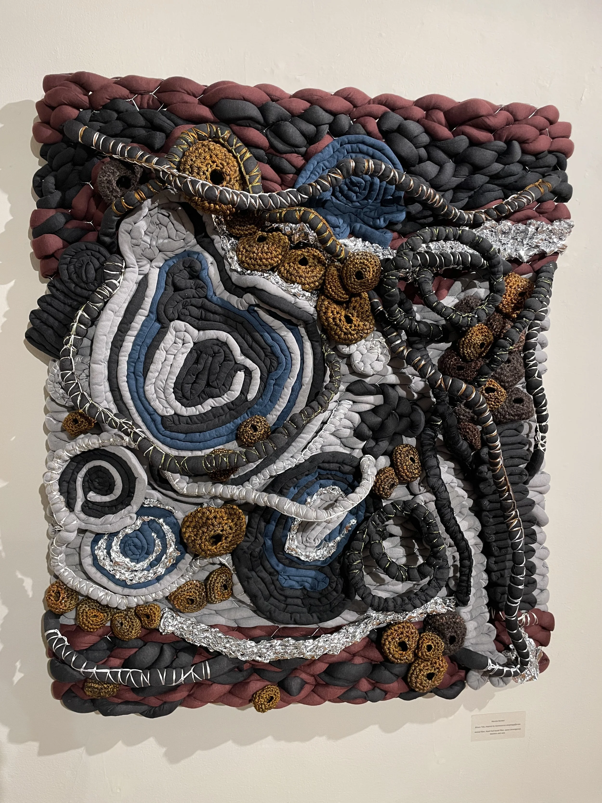   Aureococcus anophagefferens , Marsha Borden, 2023  33” x 37”, yarn 