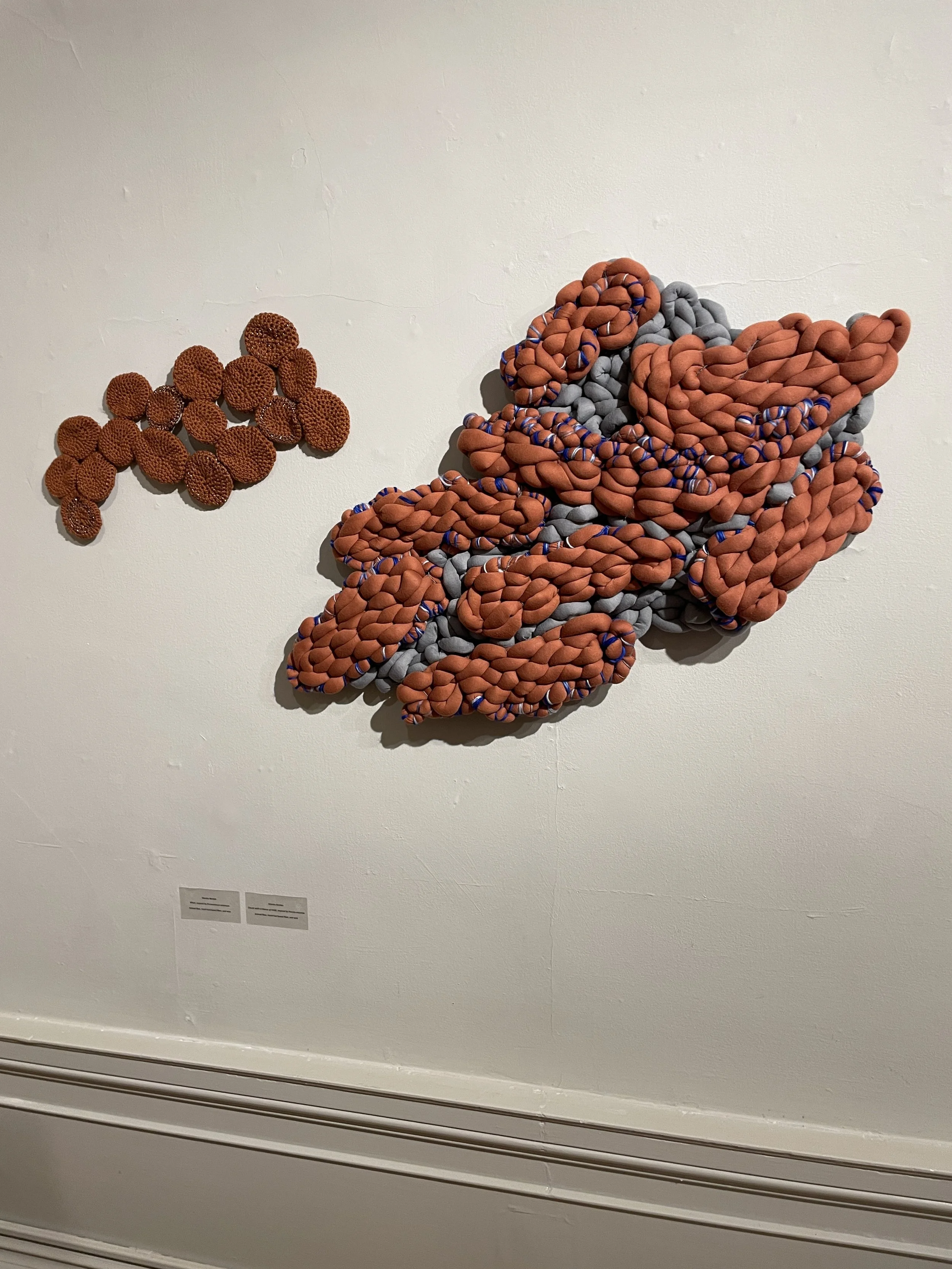   Prorocentrum Minimum and Pseudo Nitzchia, Marsha Borden, 2023  27” x 40”, yarn 