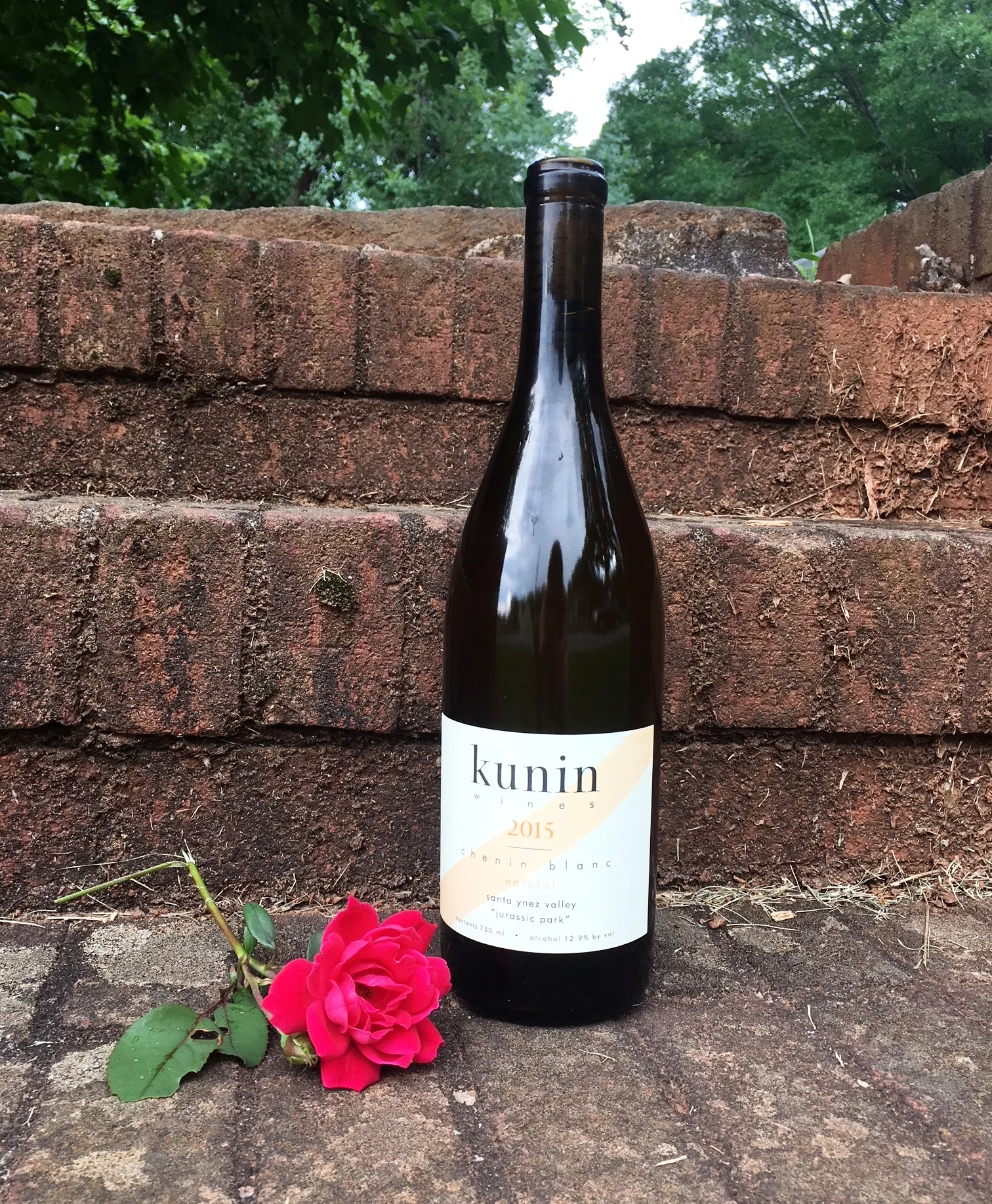 Kunin "Jurassic Park" Chenin Blanc and The Carters' Everything is Love