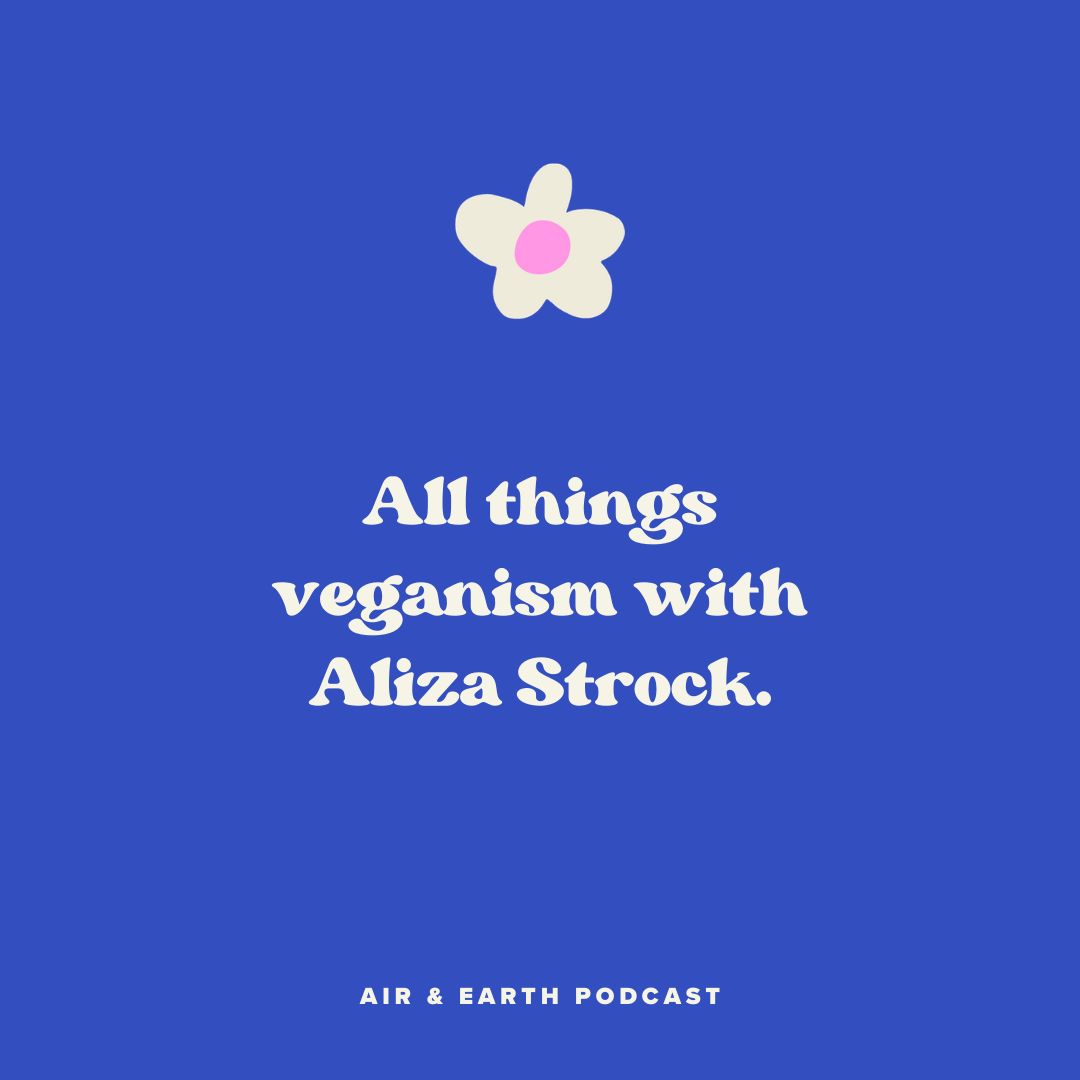 Ep. 2: All things veganism with Aliza Strock episode artwork