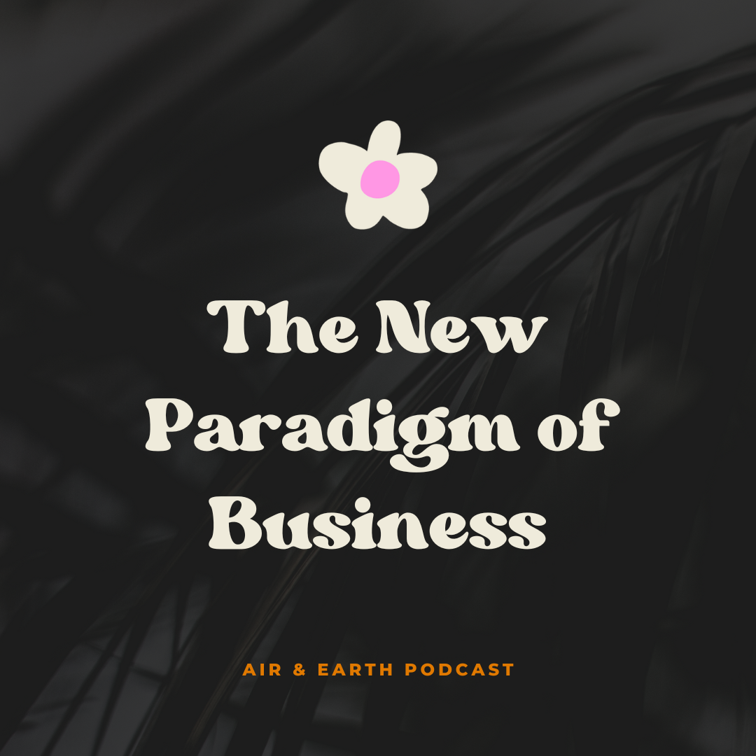 The New Paradigm of Business episode artwork