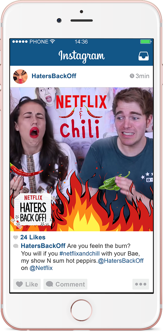 FrontalScreen_NetflixHome.png