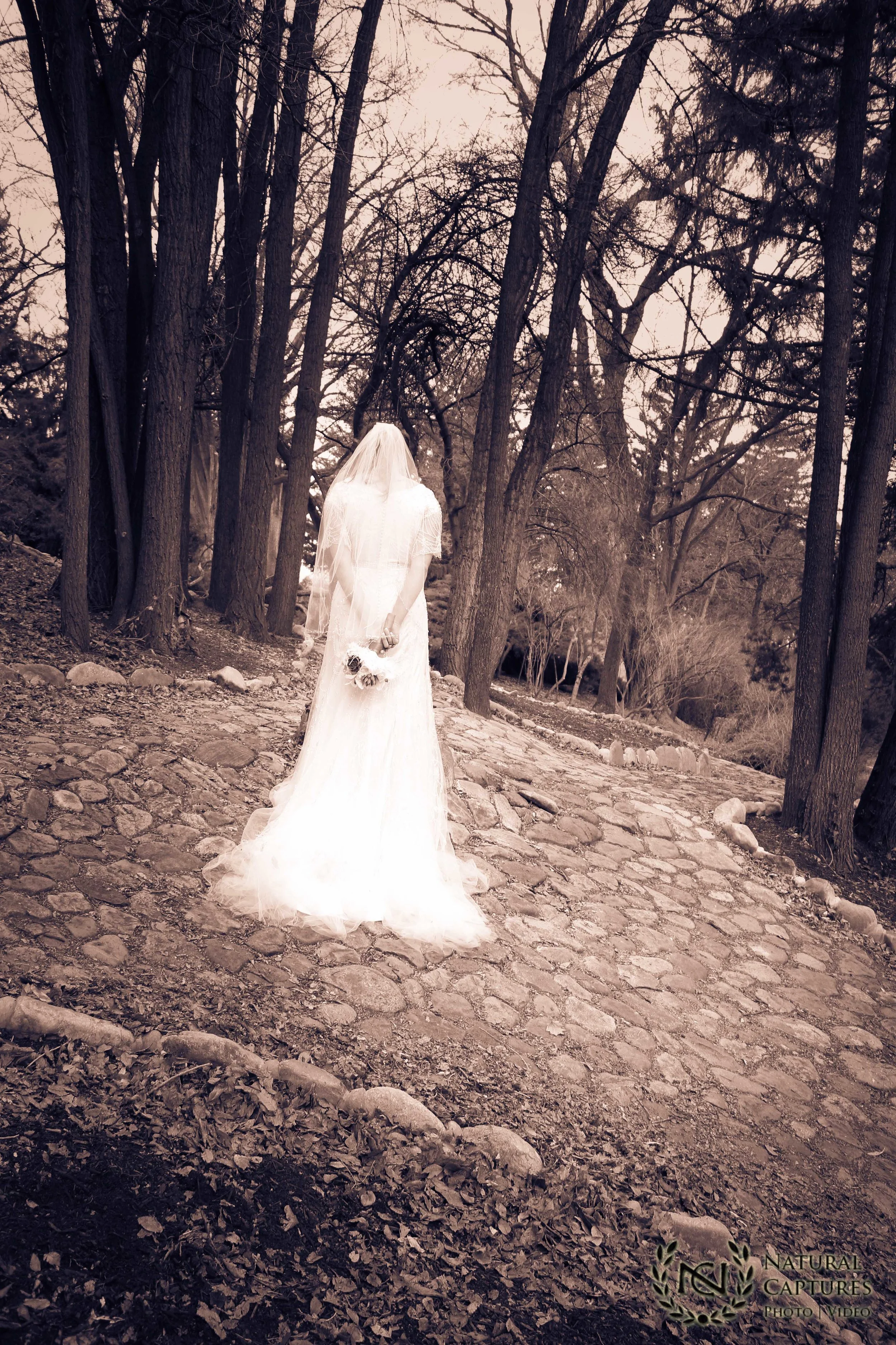 Classic Utah Bridals - Nicole & Grant