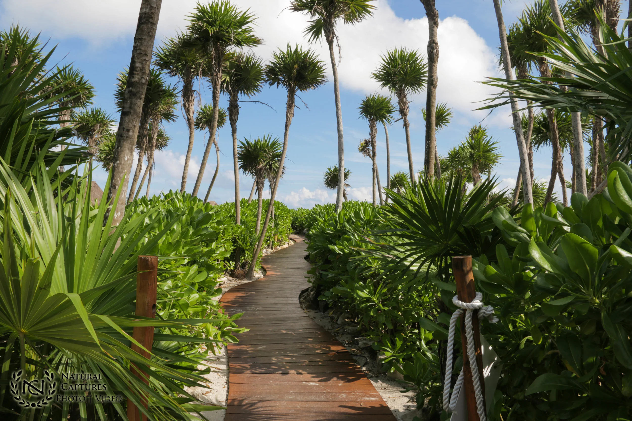 Mexico Vacation Video | Photo