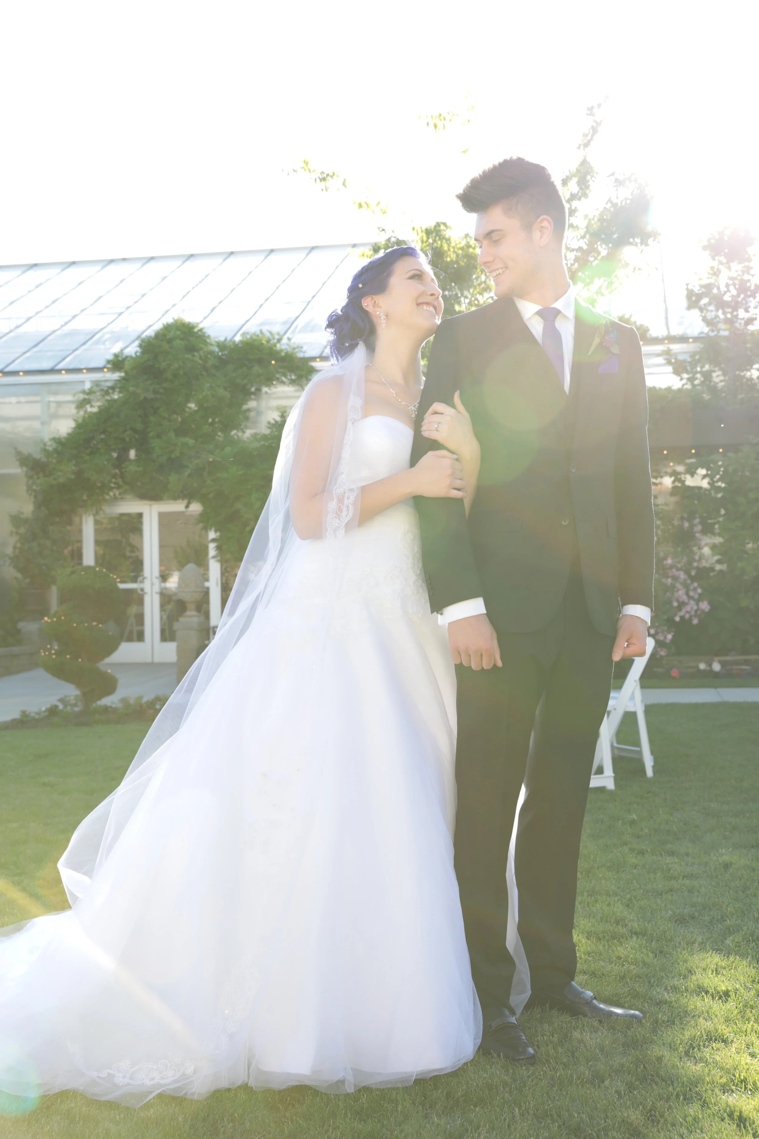 Purple &amp; Puppies