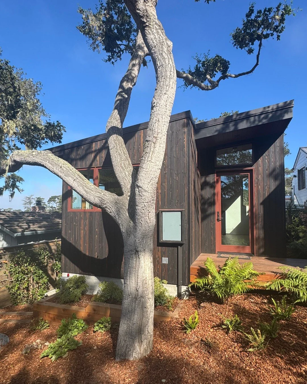 Rooted in Nature

XO V