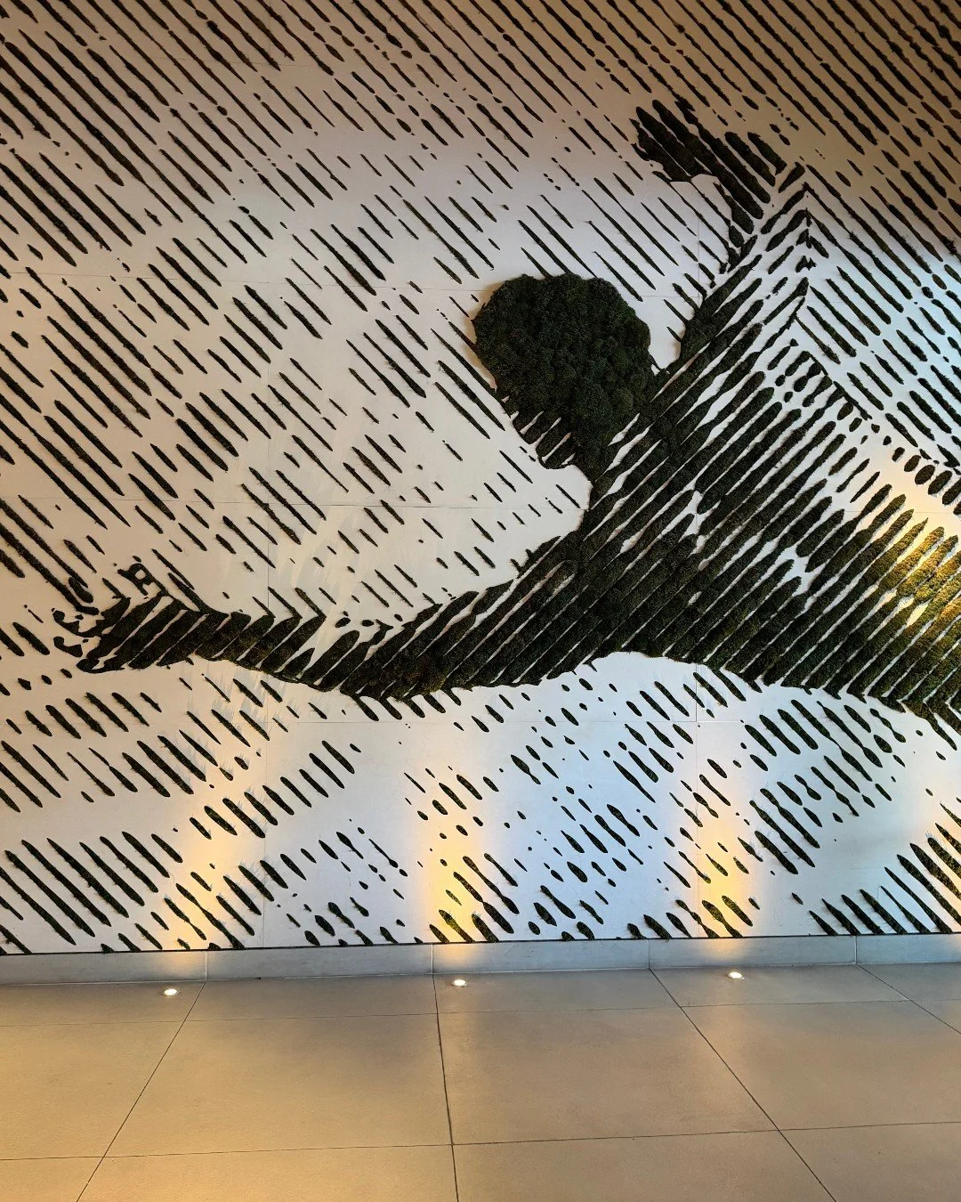 S W I M

@1hotel.southbeach

XO V