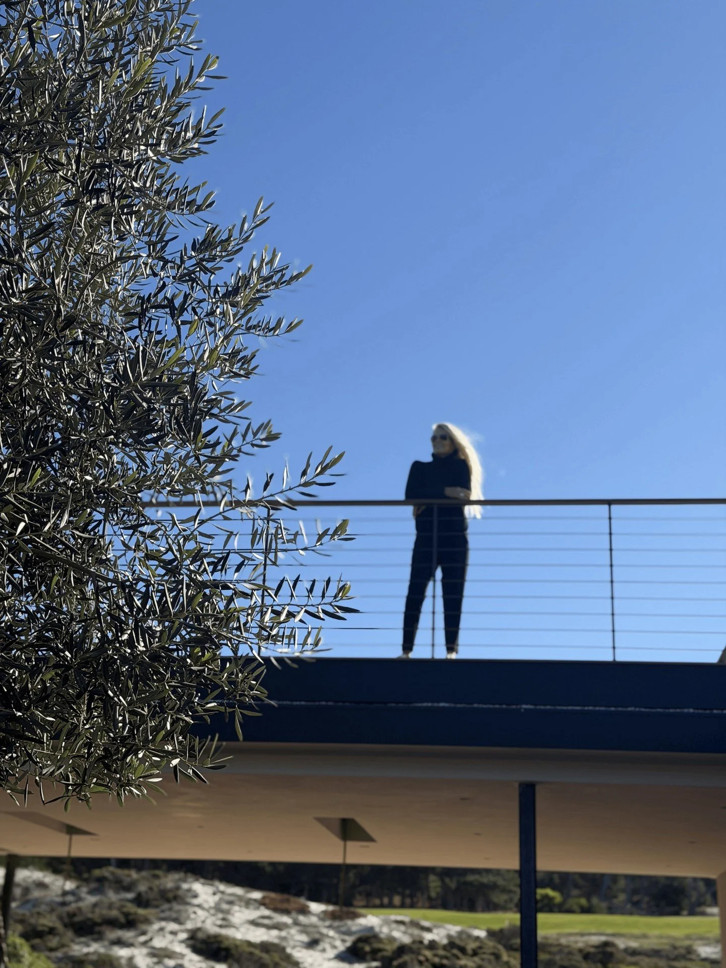 Elevated Moments

XO V