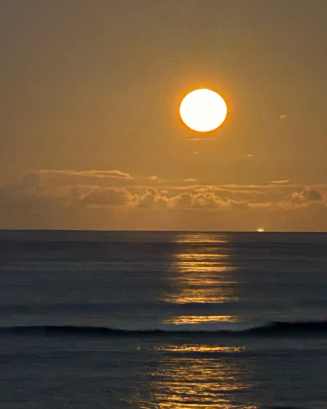 Clarity In Motion

XO V