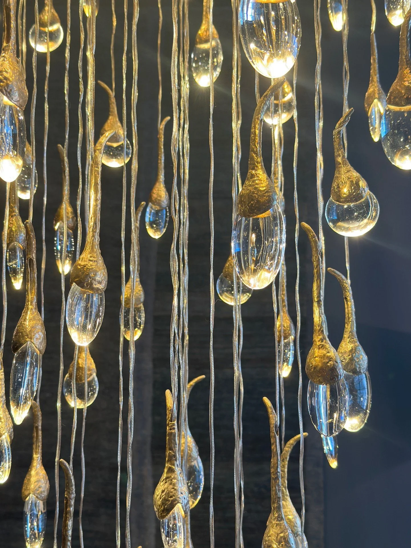 Dripping In Sparkle

XO V