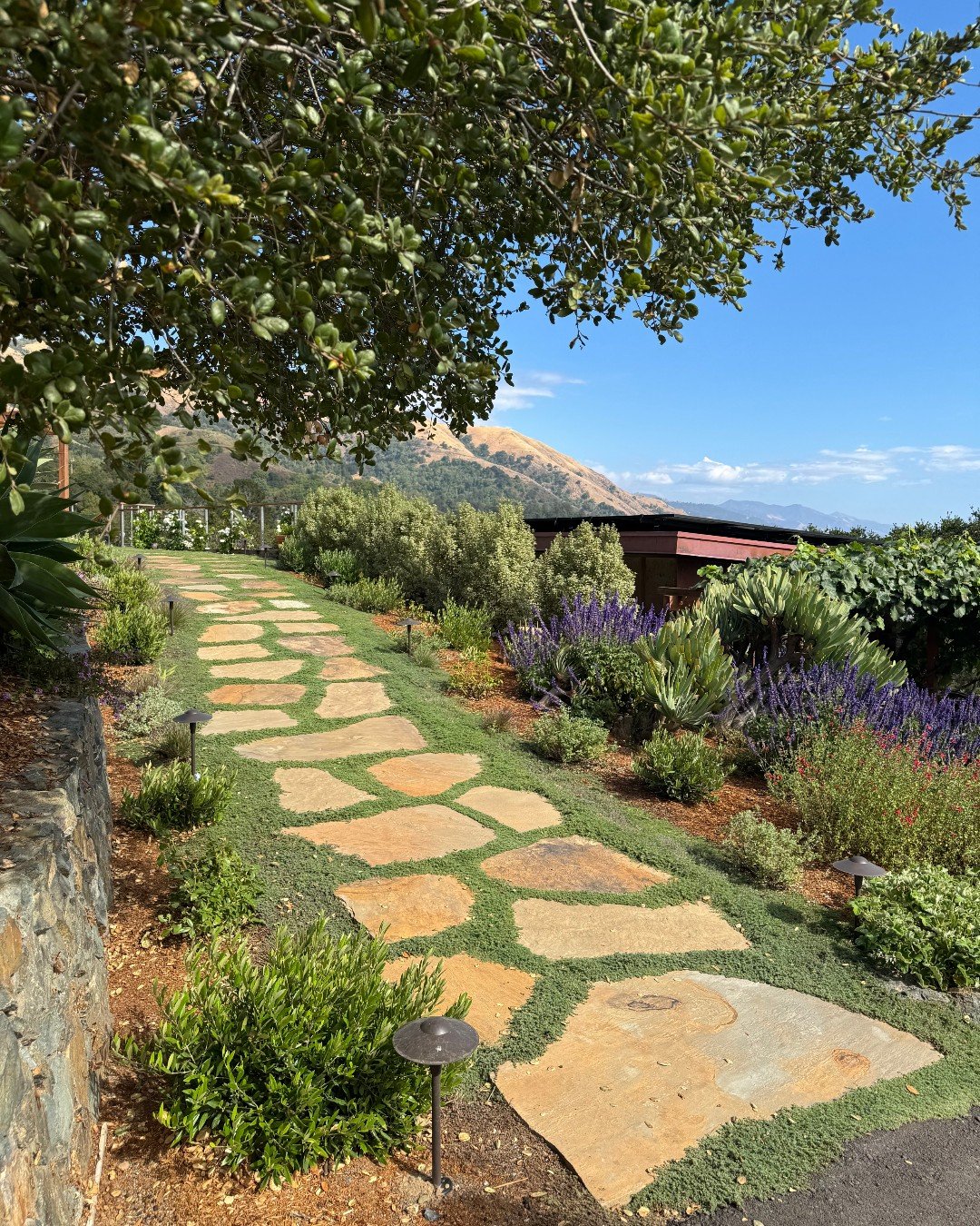 Path With Purpose

XO V