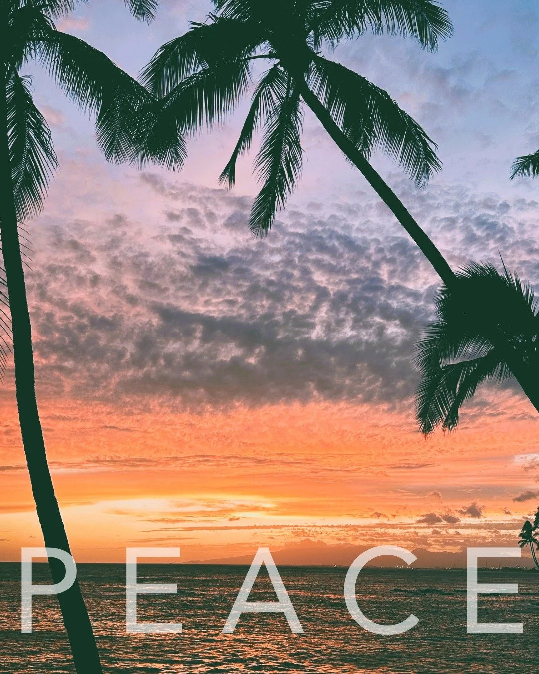 Stillness Is Power 

XO V