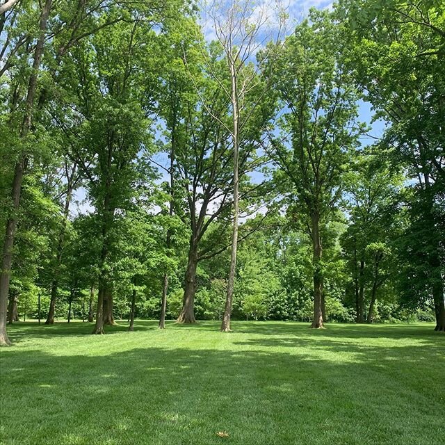 🌳Athletic Yoga Stretch Sunday @ 10:30AM (slight time change) has 2️⃣ options this week!

Join @kimcarlson2000 in Witten Park or sign up for the live virtual zoom class! 
#fishersindiana 
#yogastrong 
#yoga 
#treepose 
#rootsandwingsyogawellness