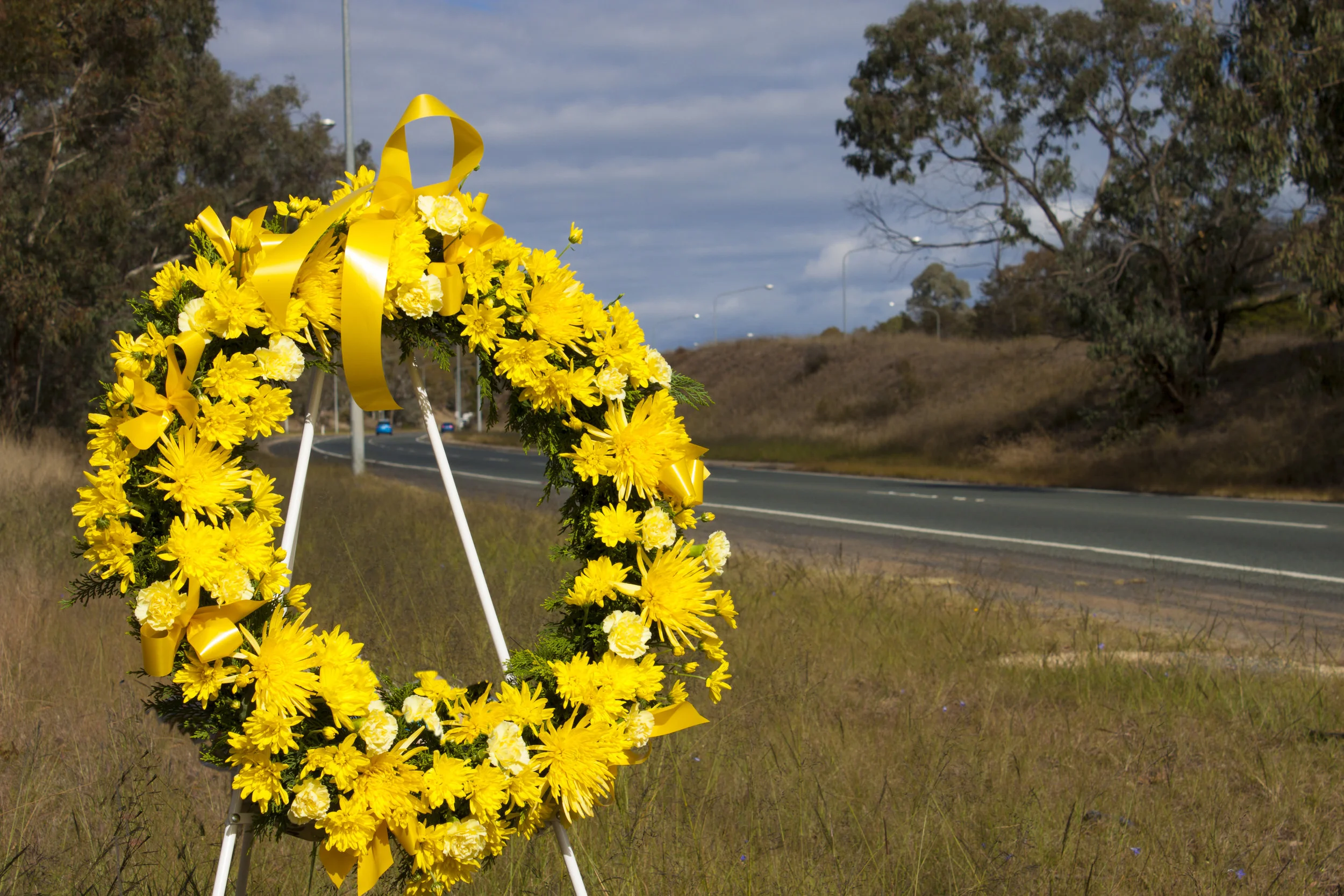 Tuggeranong Parkway_edit.jpg