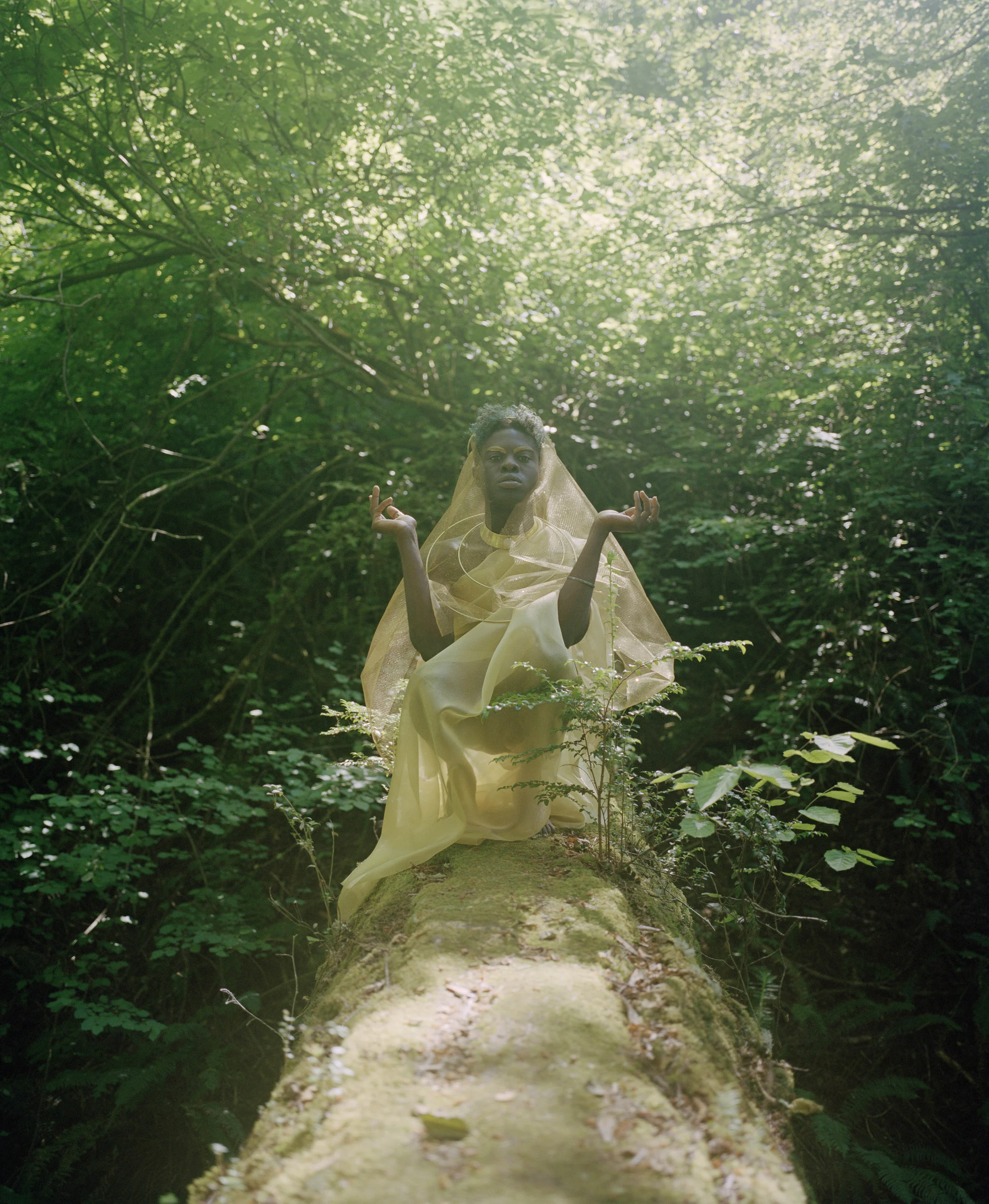 Divinities_ 006.jpg