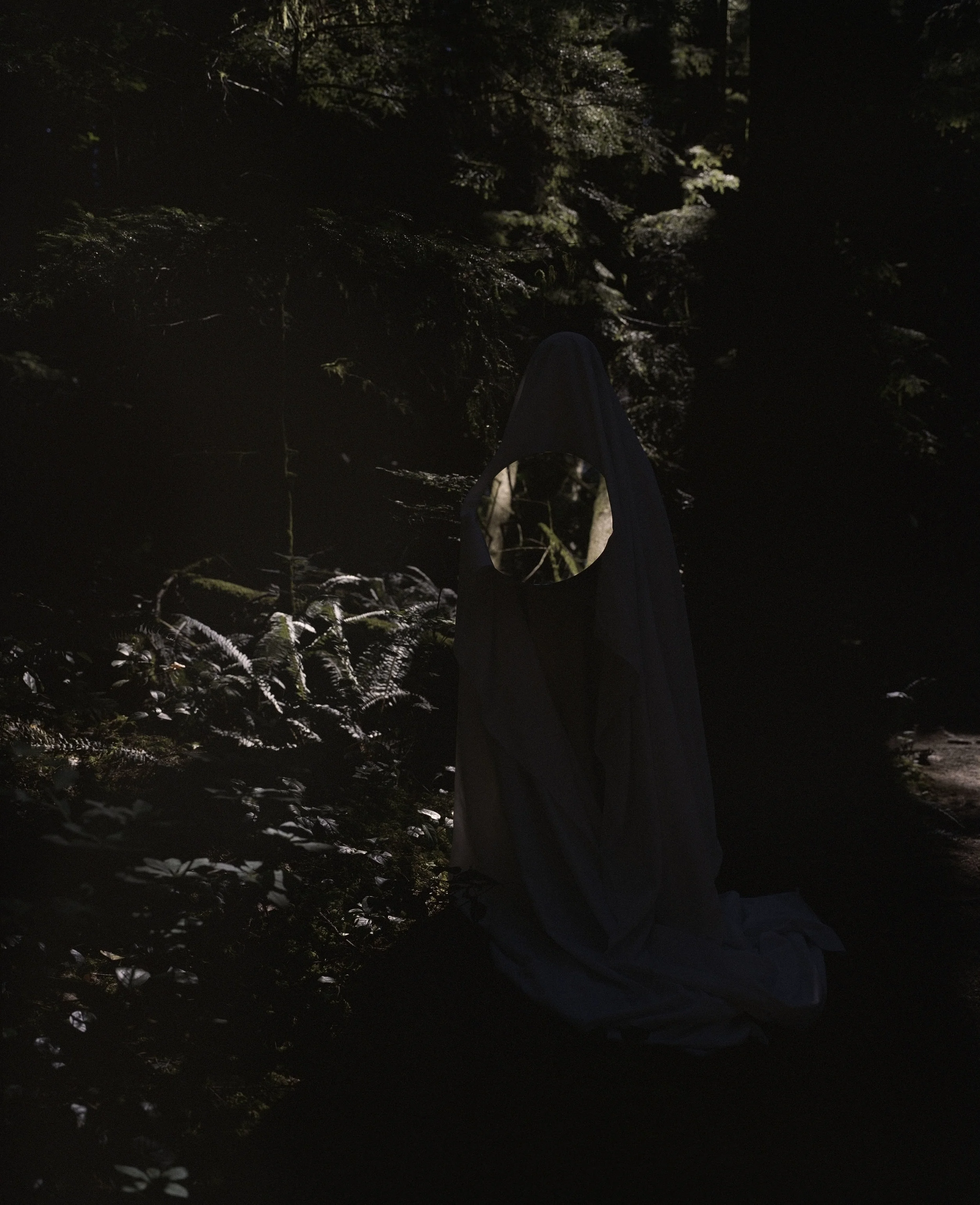 Forest Shadow