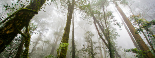 Untitled design (6).png