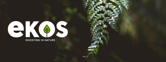 Untitled design (7).png