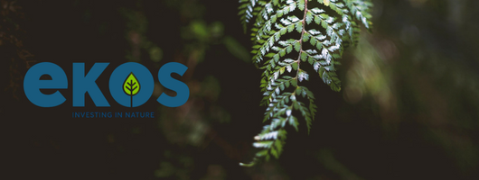 Untitled design (8).png