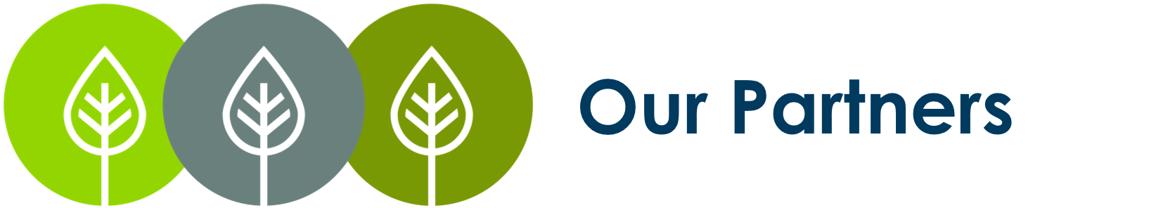 Our partners.png