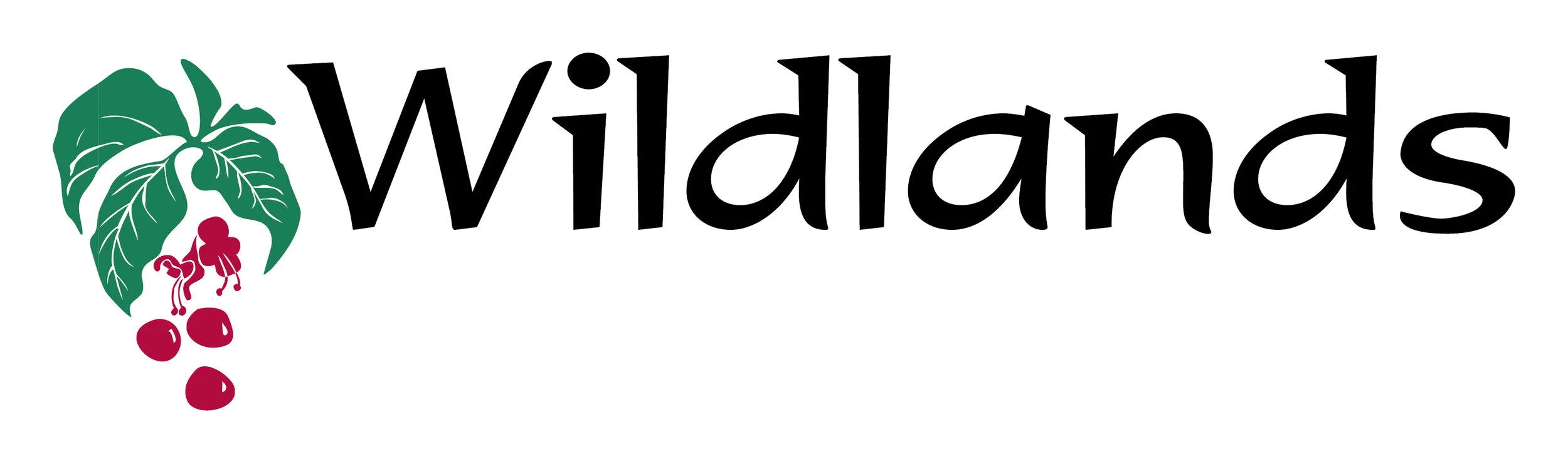 Wildlands No Tag Line 21.09.17.jpg