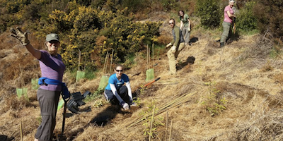 Rameka planting 4_cropped.png