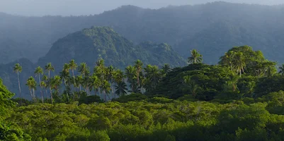 Drawa coast_cropped.jpg