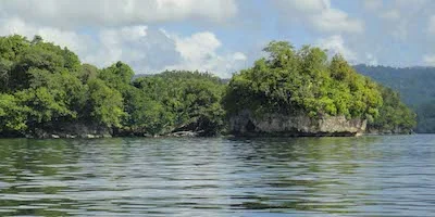 Choiseul Coast 2_cropped.jpg