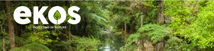 Web email header 1.png