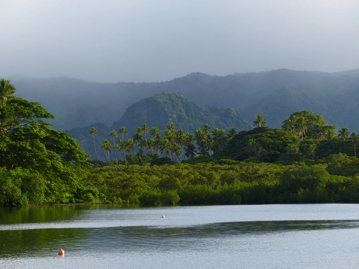 Drawa Cover Photo 2.jpg