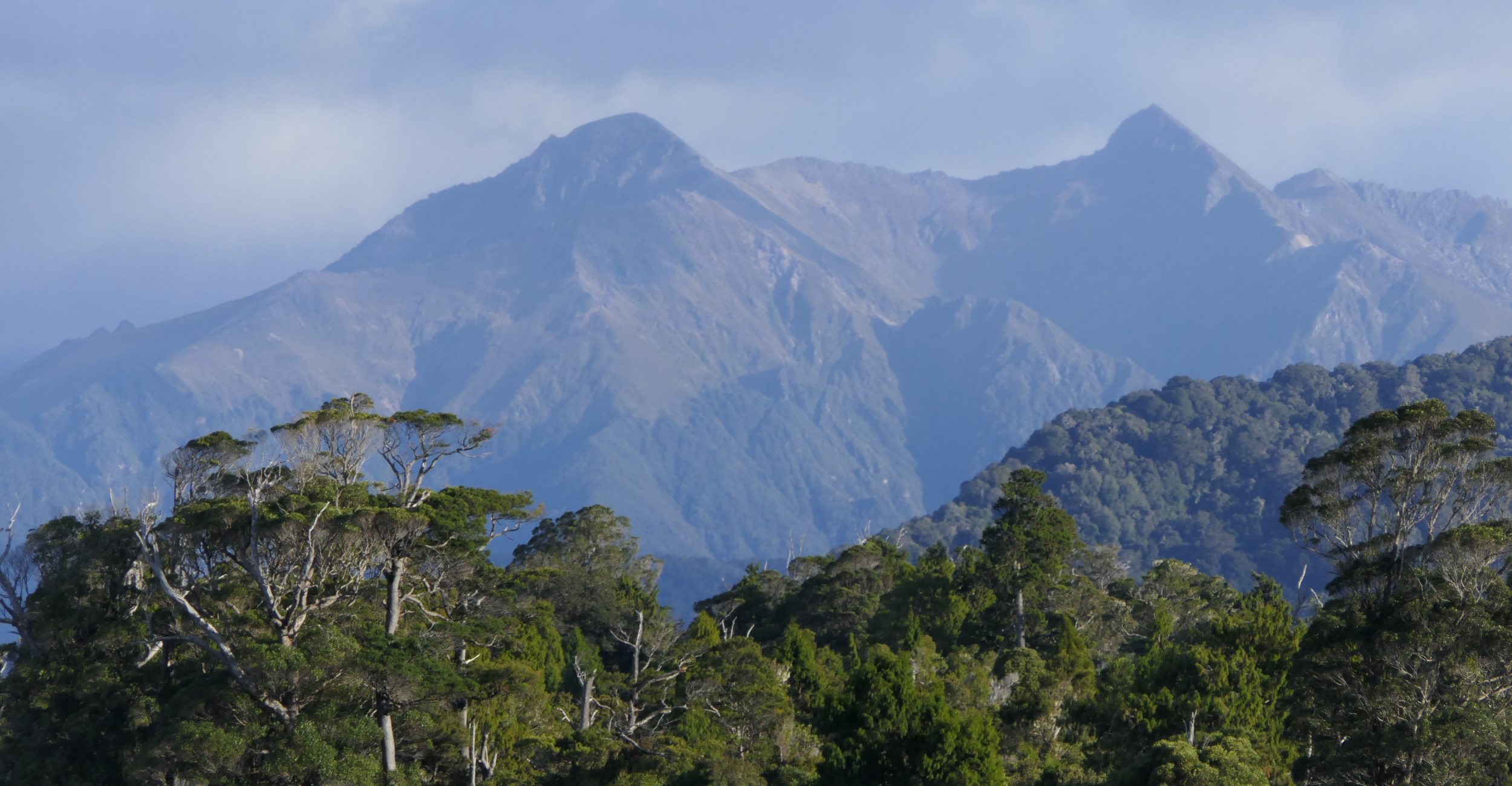 Towards a Zero Carbon Future:  The importance of measuring your carbon footprint