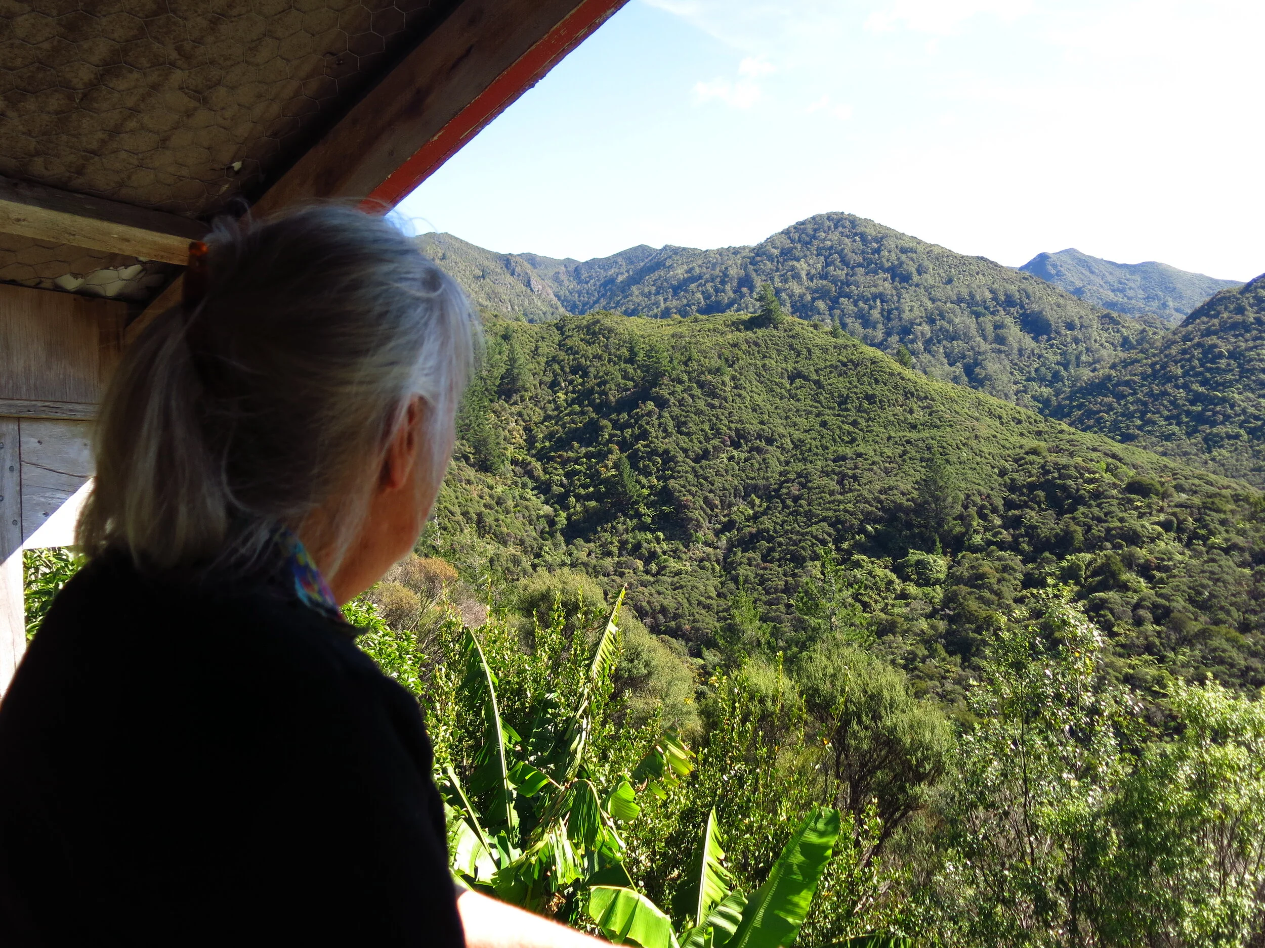 Aline D’oust looking out across Kānuka Hill.