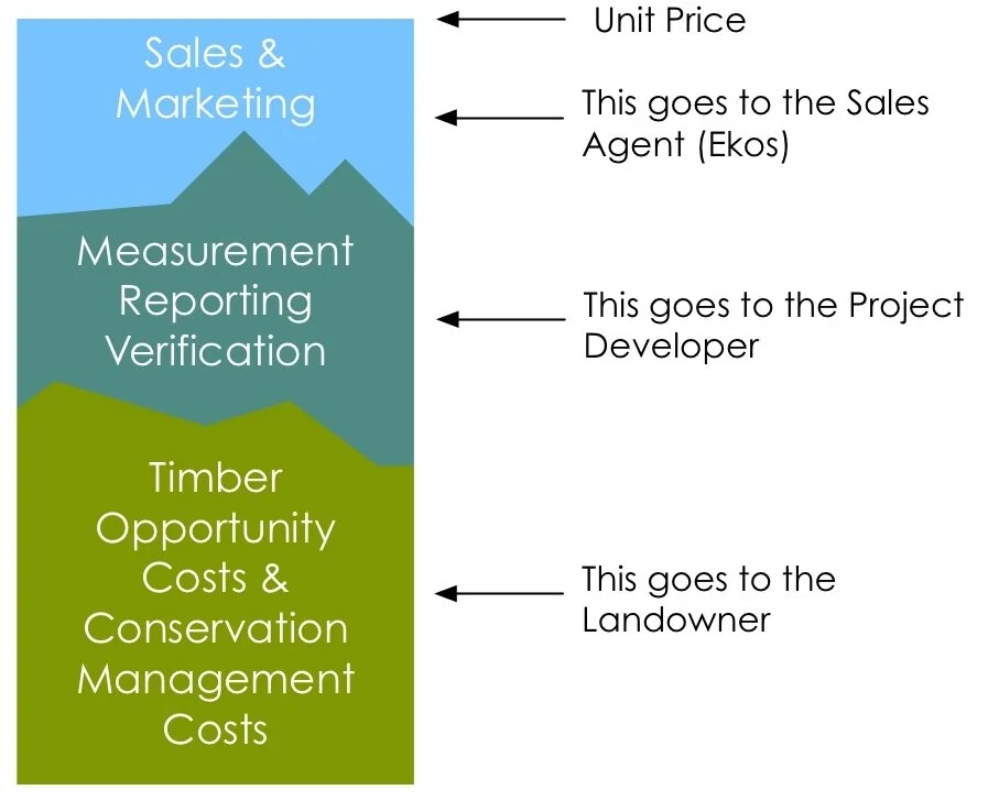 Pricing Histogram.jpg