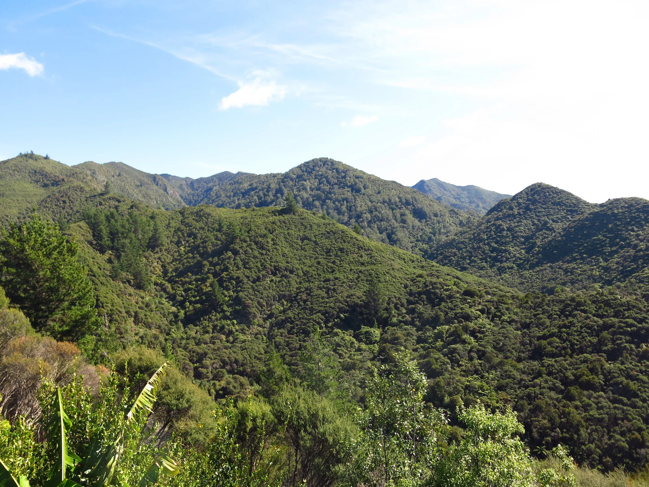 Project Kānuka Hill — Ekos