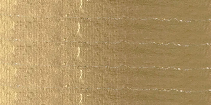 header02.jpg