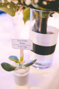 palm-cove-wedding-2104-of-2595