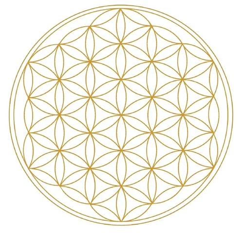 flower-of-life-1079762_960_720.jpeg