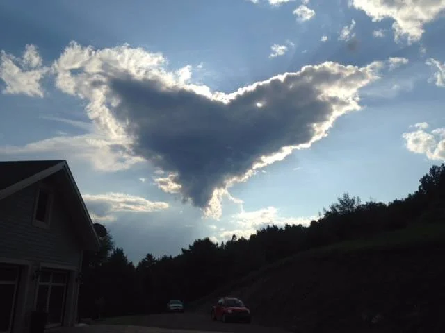 Heart in Sky : From the participants of the ATIH Workshop in Miguasha Gaspesie Quebec Canada, June 2016