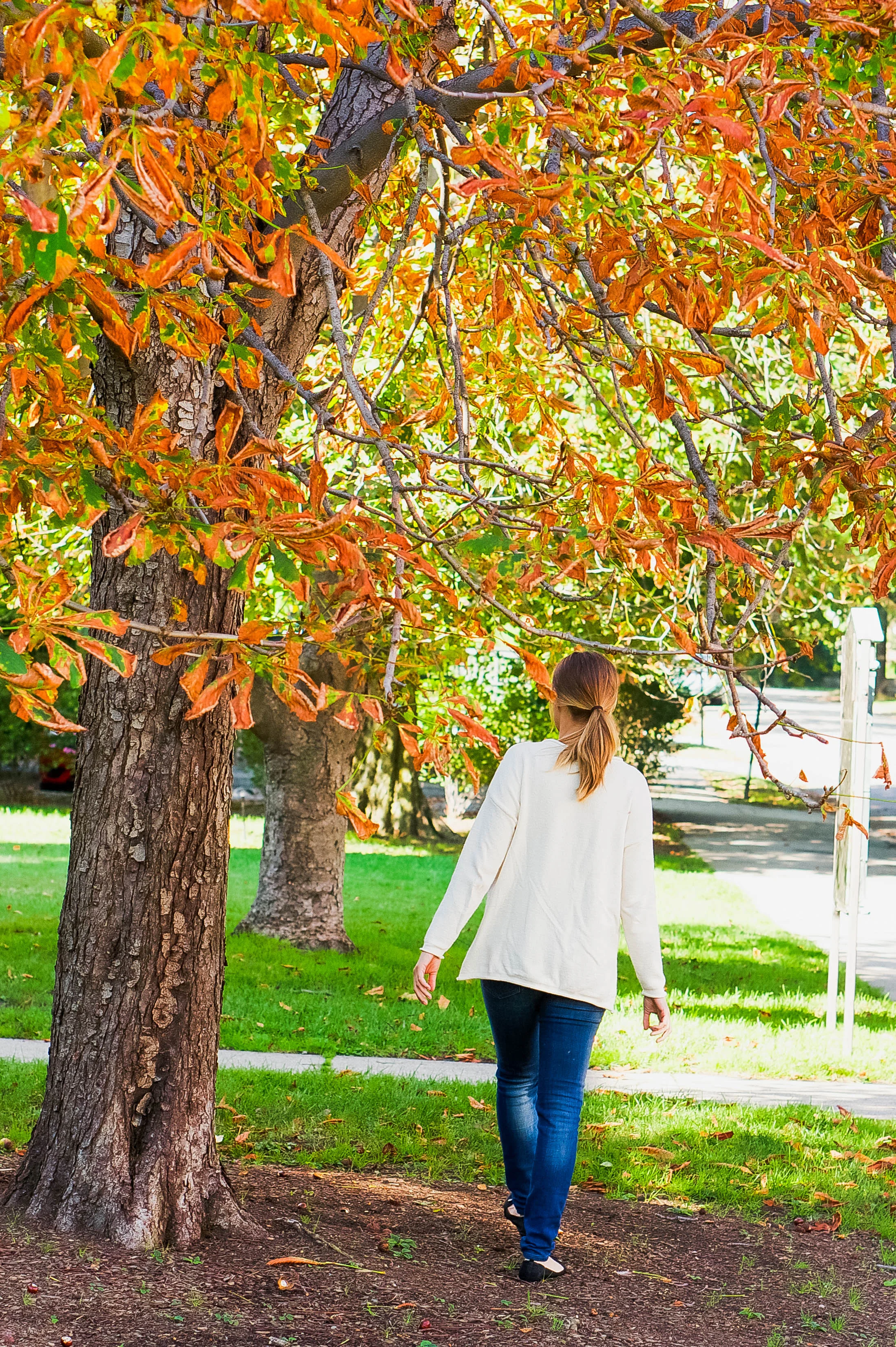 Fall Walk 2.jpg