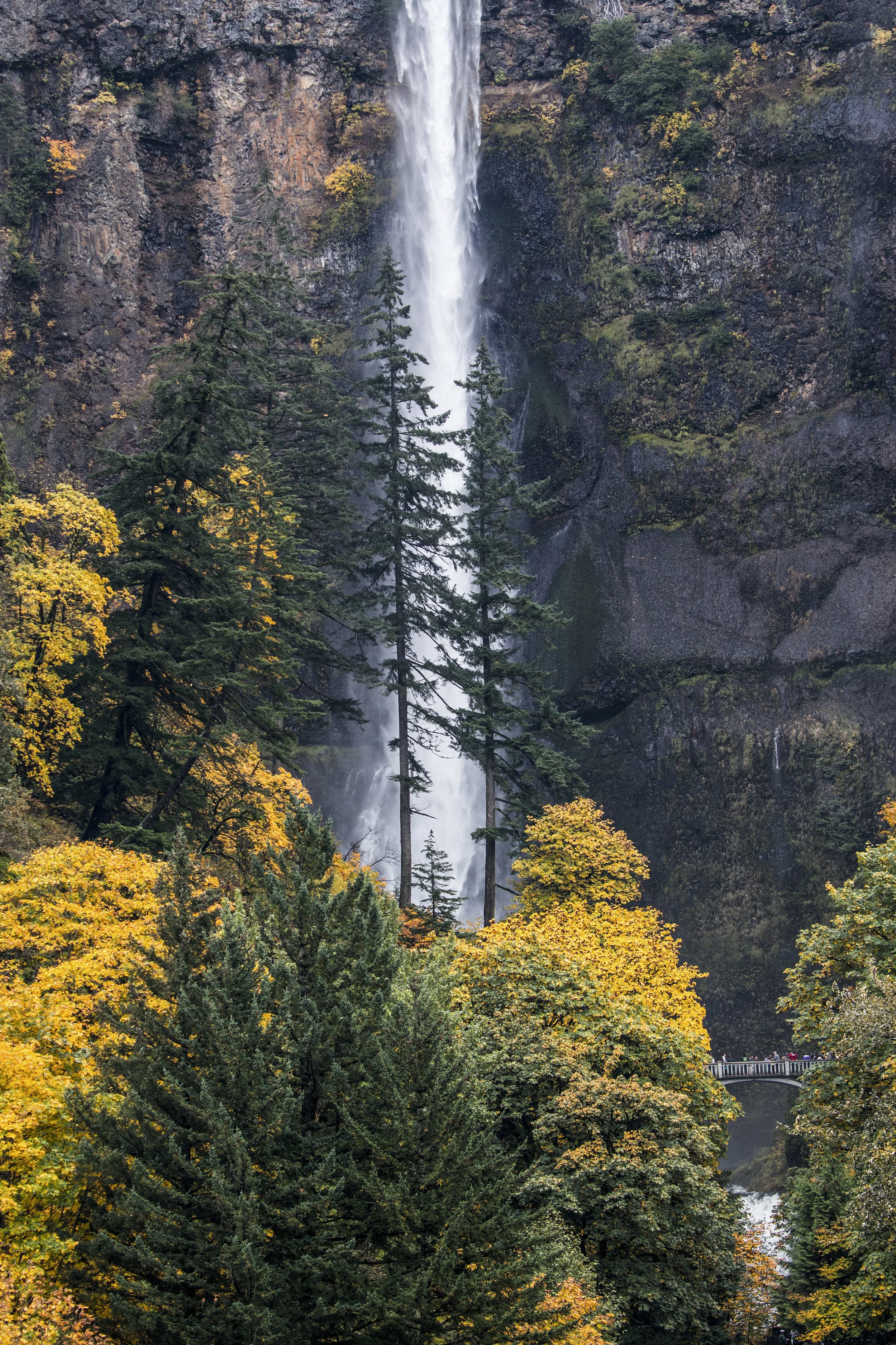 Multnomah Falls.jpg