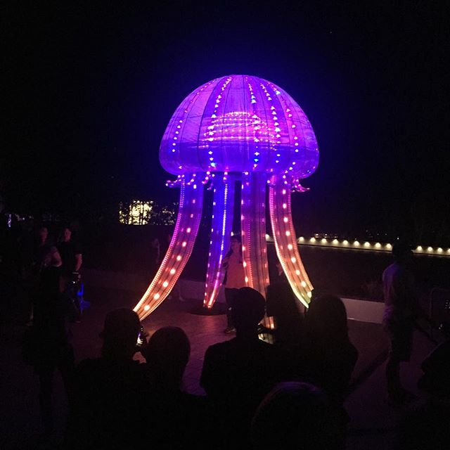 The psychedelic jellyfish at Enlighten 2019. #oneofakindapartments  #barefootandbespoke #enlighten #visitcanberra