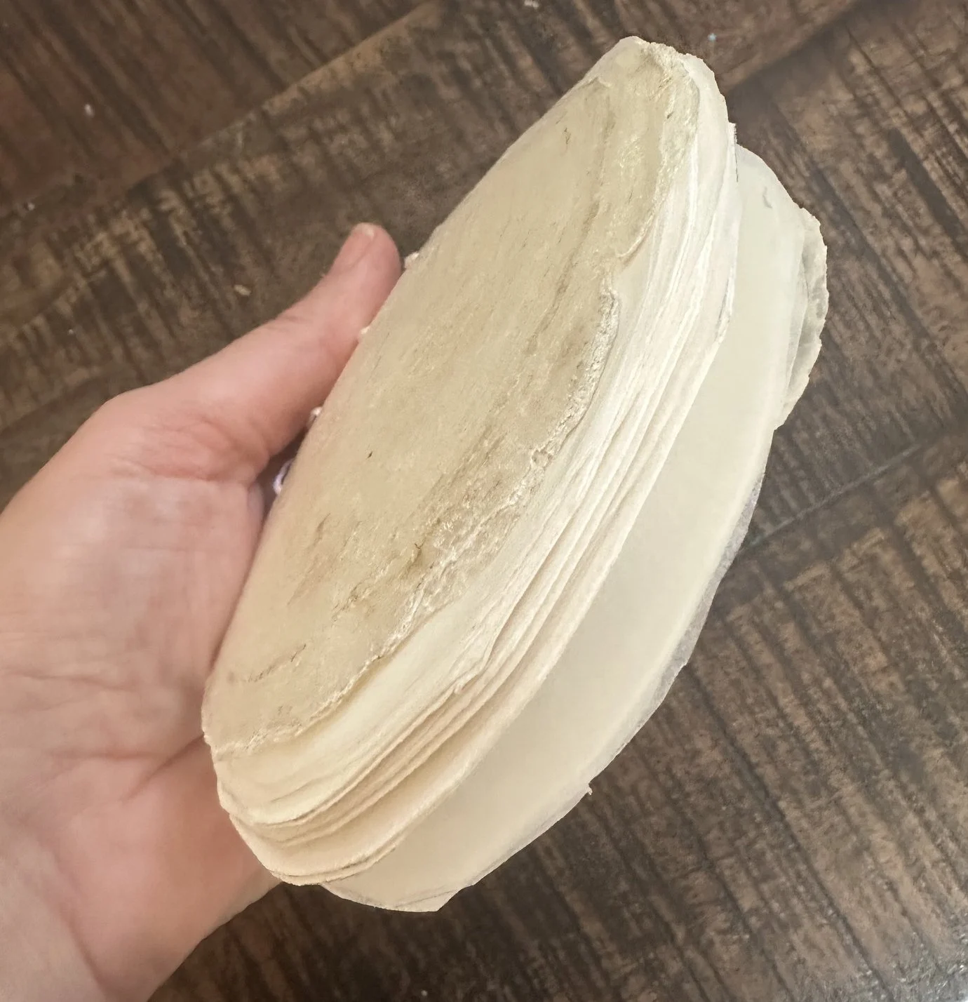 Capiz Shell Book