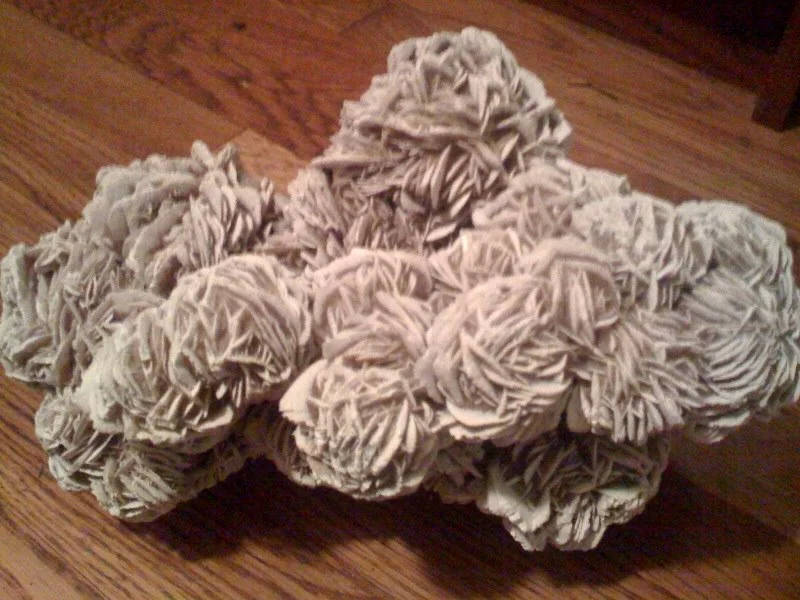 Desert-Rose.jpg