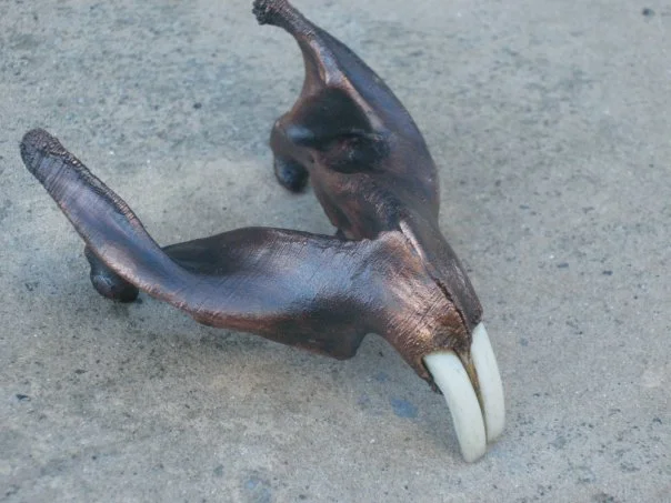 bone.jpg